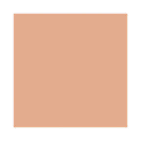 Protetor Solar Facial com Cor La Roche-Posay Anthelios Ultra Cover FPS60